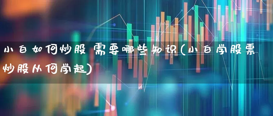 小白如何炒股 需要哪些知识(小白学股票炒股从何学起)_https://www.xzdzcjn.com_北交所_第1张