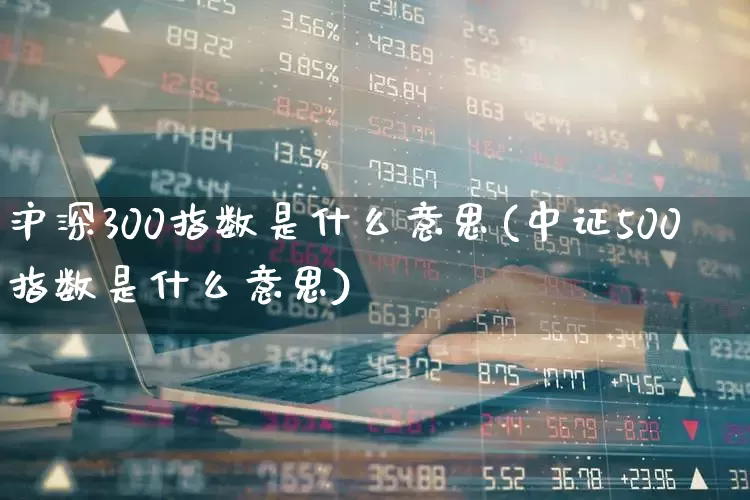 沪深300指数是什么意思(中证500指数是什么意思)_https://www.xzdzcjn.com_上交所_第1张