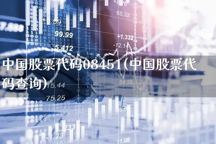 中国股票代码08451(中国股票代码查询)_https://www.xzdzcjn.com_北交所_第1张