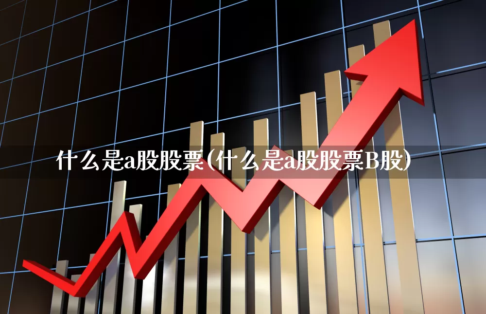 什么是a股股票(什么是a股股票B股)_https://www.xzdzcjn.com_上交所_第1张