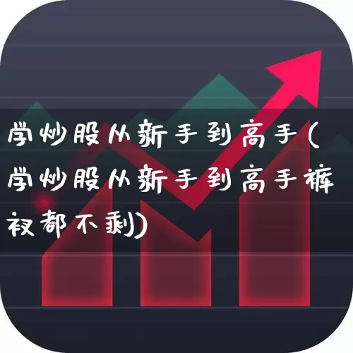 学炒股从新手到高手(学炒股从新手到高手裤衩都不剩)_https://www.xzdzcjn.com_科创板_第1张