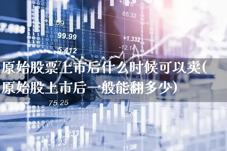 原始股票上市后什么时候可以卖(原始股上市后一般能翻多少)_https://www.xzdzcjn.com_北交所_第1张