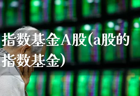 指数基金A股(a股的指数基金)_https://www.xzdzcjn.com_上交所_第1张