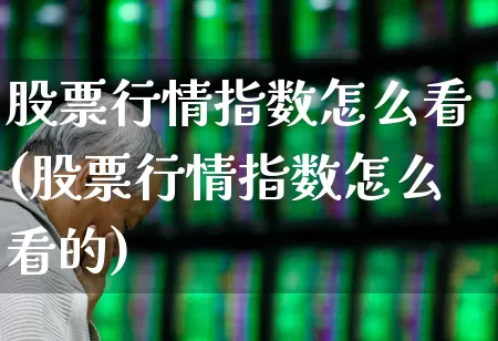 股票行情指数怎么看(股票行情指数怎么看的)_https://www.xzdzcjn.com_科创板_第1张