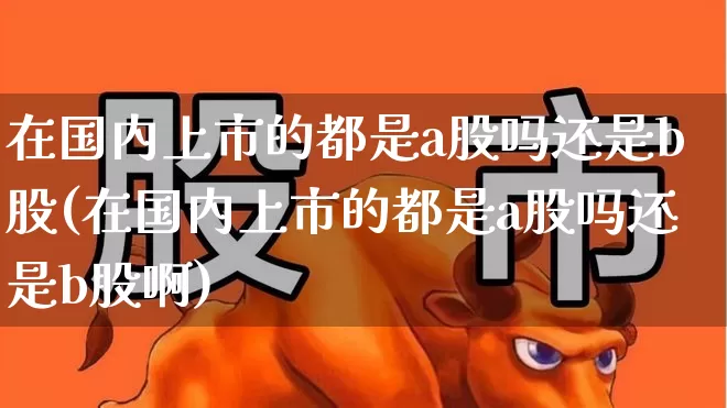 在国内上市的都是a股吗还是b股(在国内上市的都是a股吗还是b股啊)_https://www.xzdzcjn.com_北交所_第1张